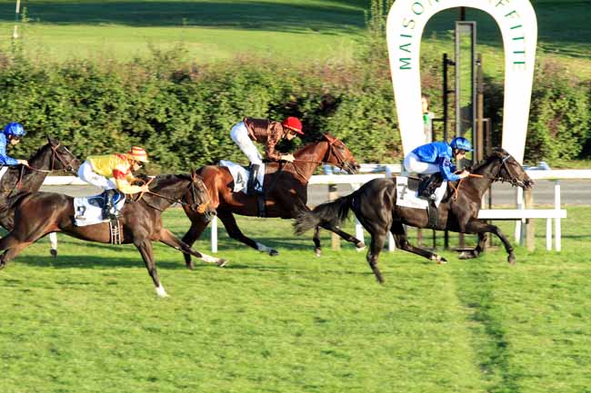 Photo d'arrivée de la course pmu PRIX DES TROIS ROSES D'ARGENT à MAISONS-LAFFITTE le Lundi 3 octobre 2016