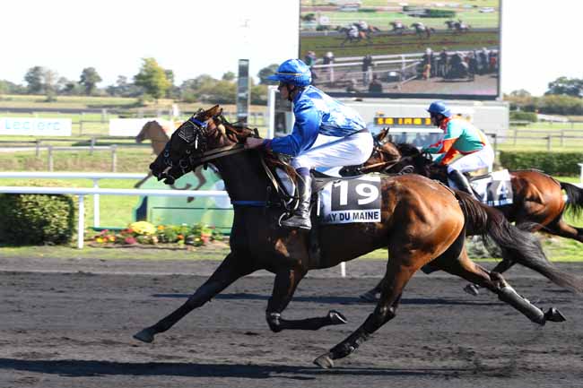 Photo d'arrivée de la course pmu PRIX DU CONSEIL REGIONAL DES PAYS DE LA LOIRE à MESLAY-DU-M. le Mercredi 5 octobre 2016