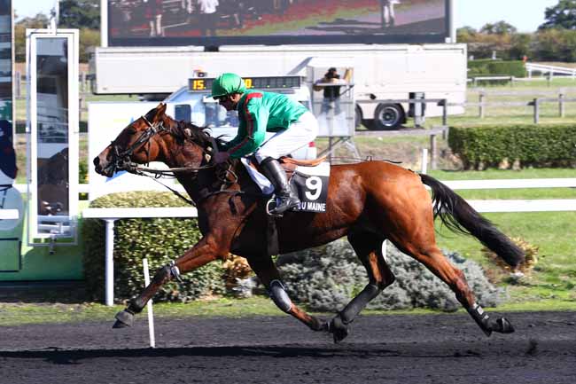 Photo d'arrivée de la course pmu PRIX DU CONSEIL DEPARTEMENTAL DE LA MAYENNE à MESLAY-DU-M. le Mercredi 5 octobre 2016