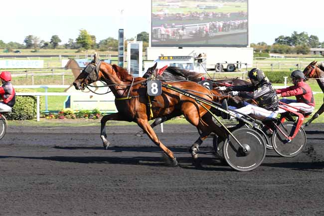 Photo d'arrivée de la course pmu PRIX AGEM à MESLAY-DU-M. le Mercredi 5 octobre 2016