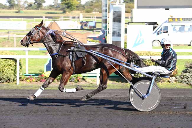 Photo d'arrivée de la course pmu PRIX GENERAL DU POMMEAU à MESLAY-DU-M. le Mercredi 5 octobre 2016