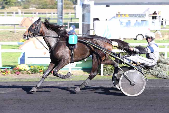 Photo d'arrivée de la course pmu PRIX DE LA VILLE DE MESLAY-DU-MAINE à MESLAY-DU-M. le Mercredi 5 octobre 2016