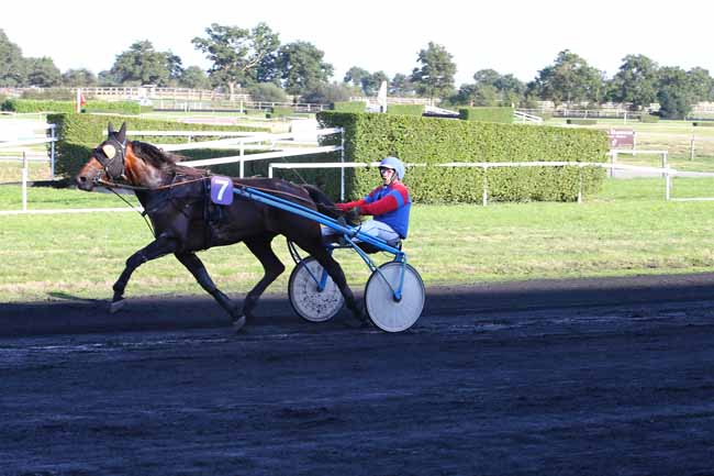 Photo d'arrivée de la course pmu PRIX DE LA SOCIETE DU CHEVAL FRANCAIS (GR B) à MESLAY-DU-M. le Mercredi 5 octobre 2016