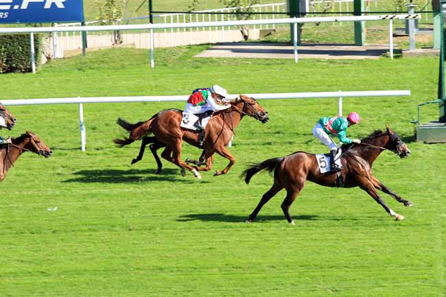 Photo d'arrivée de la course pmu PRIX DES HALLES à SAINT-CLOUD le Mercredi 5 octobre 2016