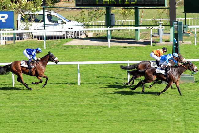 Photo d'arrivée de la course pmu PRIX GLORIEUSE à SAINT-CLOUD le Mercredi 5 octobre 2016