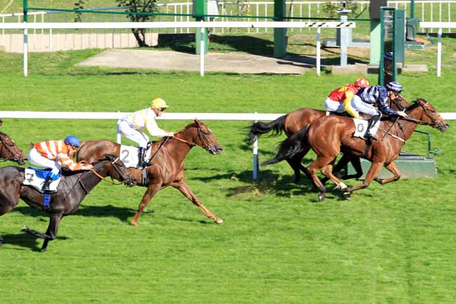 Photo d'arrivée de la course pmu PRIX DAHLIA à SAINT-CLOUD le Mercredi 5 octobre 2016
