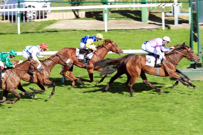 Photo d'arrivée de la course pmu PRIX SCARAMOUCHE à SAINT-CLOUD le Mercredi 5 octobre 2016