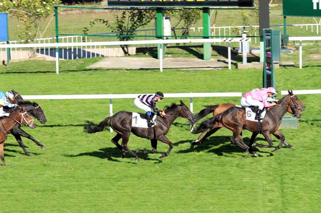 Photo d'arrivée de la course pmu PRIX DE BRETAGNE à SAINT-CLOUD le Mercredi 5 octobre 2016