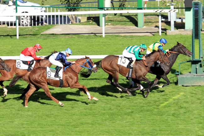 Photo d'arrivée de la course pmu PRIX DU PERCHE à SAINT-CLOUD le Mercredi 5 octobre 2016