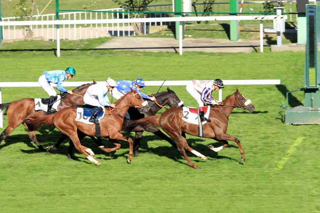 Photo d'arrivée de la course pmu PRIX D'ANJOU à SAINT-CLOUD le Mercredi 5 octobre 2016