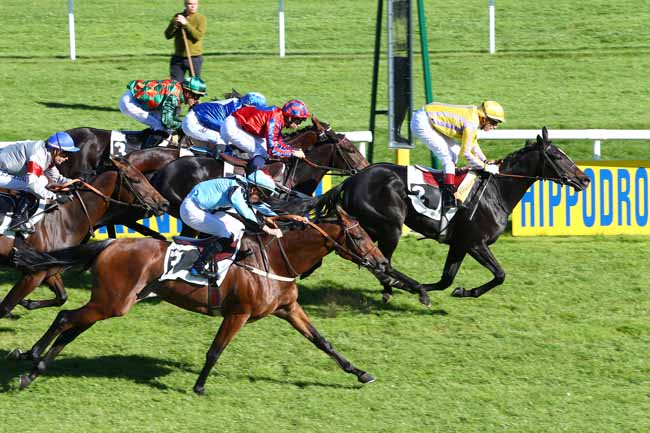 Photo d'arrivée de la course pmu PRIX JEAN GILLOIS à FONTAINEBLEAU le Jeudi 6 octobre 2016