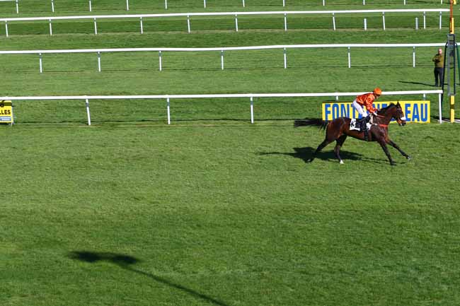 Photo d'arrivée de la course pmu PRIX BARON DE LA ROCHETTE à FONTAINEBLEAU le Jeudi 6 octobre 2016
