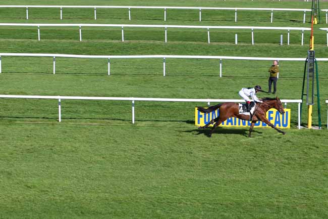 Photo d'arrivée de la course pmu PRIX DU BOIS NOTRE DAME à FONTAINEBLEAU le Jeudi 6 octobre 2016
