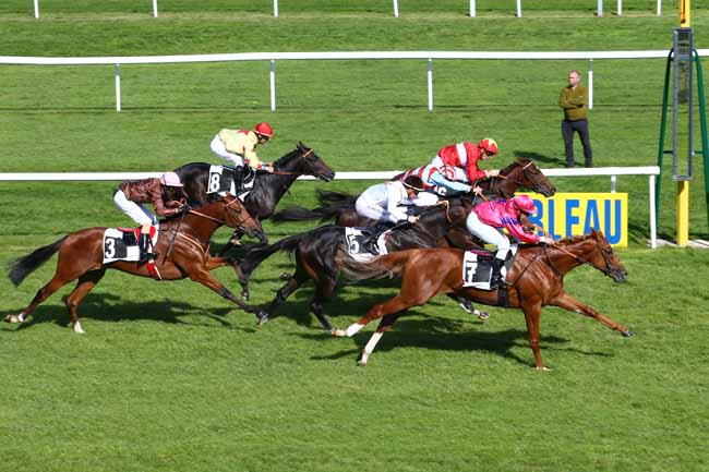Photo d'arrivée de la course pmu PRIX DES BOSQUETS à FONTAINEBLEAU le Jeudi 6 octobre 2016
