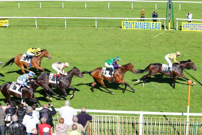 Photo d'arrivée de la course pmu PRIX ROLAND FOUGEDOIRE à FONTAINEBLEAU le Jeudi 6 octobre 2016
