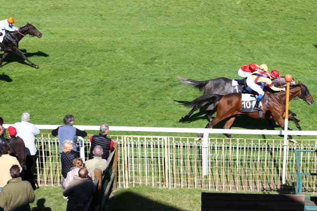 Photo d'arrivée de la course pmu PRIX DU TREMBLAY à FONTAINEBLEAU le Jeudi 6 octobre 2016