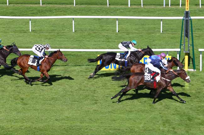 Photo d'arrivée de la course pmu PRIX DU PONT DE VALVINS à FONTAINEBLEAU le Jeudi 6 octobre 2016