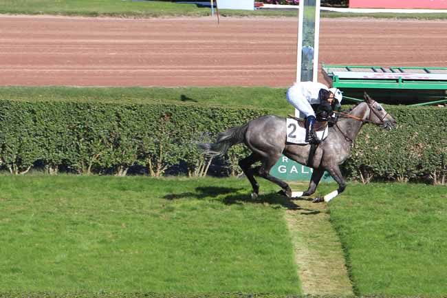 Photo d'arrivée de la course pmu PRIX DOMINIQUE SARTINI à ENGHIEN le Jeudi 6 octobre 2016