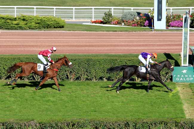 Photo d'arrivée de la course pmu PRIX BAY ARCHER à ENGHIEN le Jeudi 6 octobre 2016