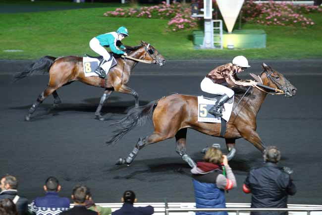 Photo d'arrivée de la course pmu PRIX HONORIA à PARIS-VINCENNES le Vendredi 7 octobre 2016