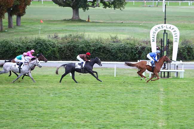Photo d'arrivée de la course pmu PRIX TAHITI à MAISONS-LAFFITTE le Vendredi 7 octobre 2016