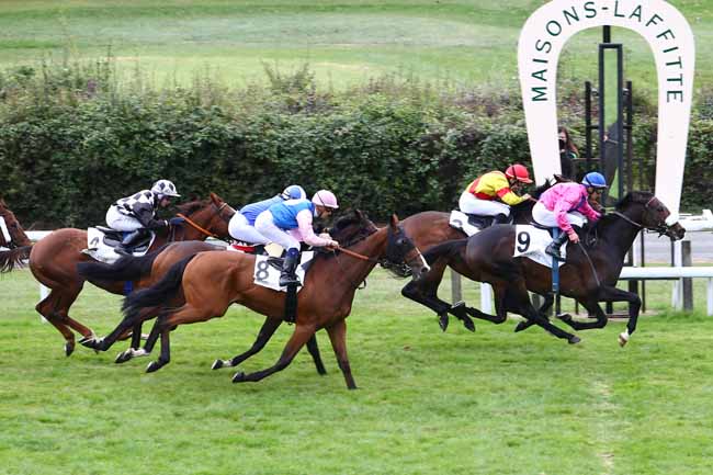 Photo d'arrivée de la course pmu PRIX DE VERSAILLES à MAISONS-LAFFITTE le Vendredi 7 octobre 2016