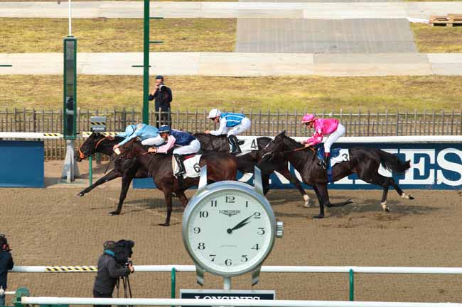 Photo d'arrivée de la course pmu PRIX DU PASSAGE à CHANTILLY le Samedi 8 octobre 2016