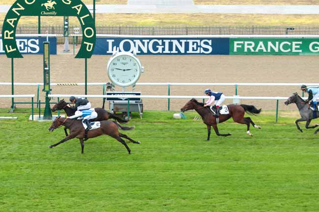 Photo d'arrivée de la course pmu PRIX DE LA GRANDE RAILLE à CHANTILLY le Samedi 8 octobre 2016