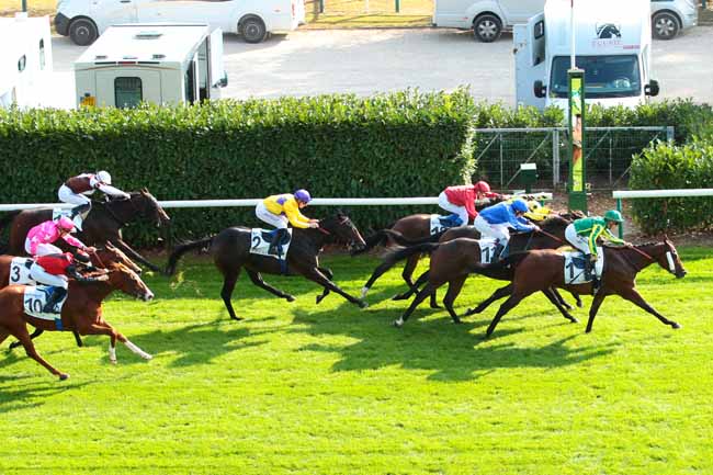 Photo d'arrivée de la course pmu PRIX DE SURVILLIERS à CHANTILLY le Samedi 8 octobre 2016