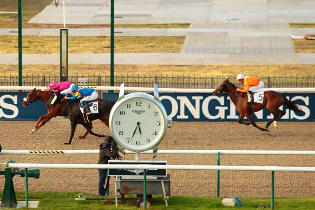 Photo d'arrivée de la course pmu PRIX DU BOIS TURQUET à CHANTILLY le Samedi 8 octobre 2016