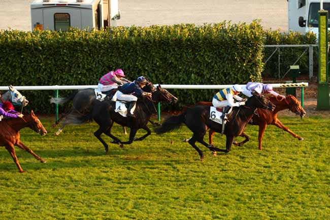 Photo d'arrivée de la course pmu PRIX DE SAINT-WITZ à CHANTILLY le Samedi 8 octobre 2016