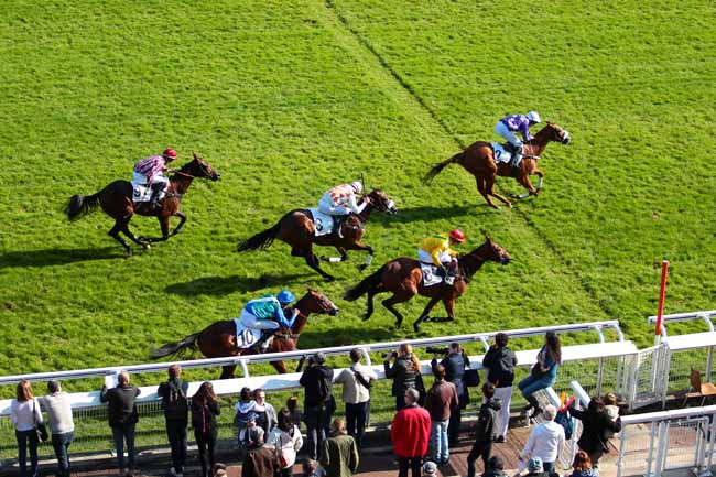 Photo d'arrivée de la course pmu PRIX GEORGES DE TALHOUET-ROY à AUTEUIL le Dimanche 9 octobre 2016