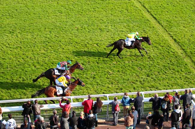 Photo d'arrivée de la course pmu PRIX CARMARTHEN à AUTEUIL le Dimanche 9 octobre 2016