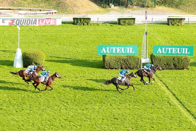 Photo d'arrivée de la course pmu PRIX ORCADA à AUTEUIL le Dimanche 9 octobre 2016