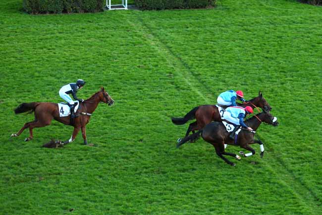 Photo d'arrivée de la course pmu PRIX HEROS XII à AUTEUIL le Dimanche 9 octobre 2016