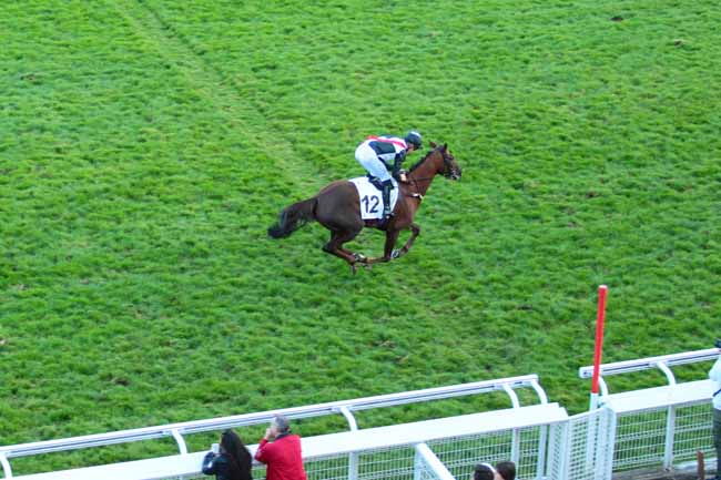 Photo d'arrivée de la course pmu PRIX JACK BARBE à AUTEUIL le Dimanche 9 octobre 2016