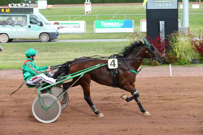 Photo d'arrivée de la course pmu PRIX CLAIRE CARRELAGE (GR A) à FEURS le Lundi 10 octobre 2016