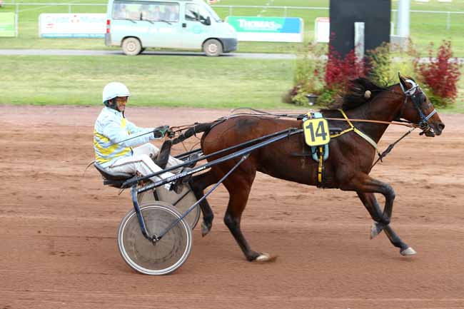 Photo d'arrivée de la course pmu PRIX CLAIRE CARRELAGE (GR B) à FEURS le Lundi 10 octobre 2016
