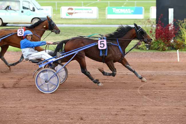 Photo d'arrivée de la course pmu PRIX ISOL'AGRO à FEURS le Lundi 10 octobre 2016