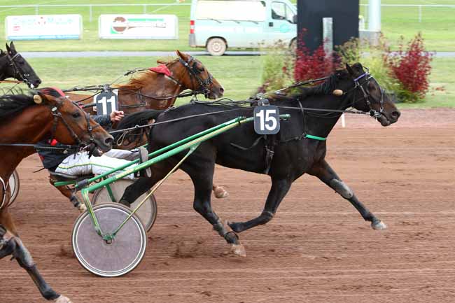 Photo d'arrivée de la course pmu PRIX MICHOLET METALLERIE à FEURS le Lundi 10 octobre 2016