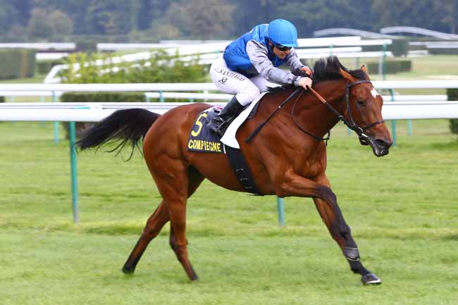 Photo d'arrivée de la course pmu PRIX DES BELLES DEMOISELLES à COMPIEGNE le Lundi 10 octobre 2016
