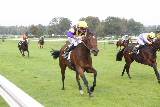 Photo d'arrivée de la course pmu PRIX DE COMPAINS à COMPIEGNE le Lundi 10 octobre 2016