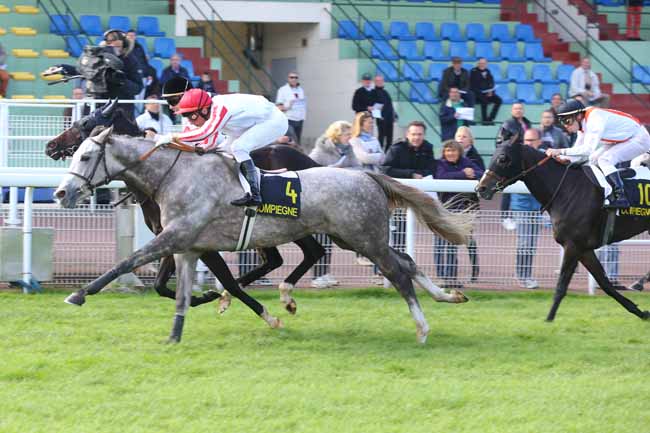 Photo d'arrivée de la course pmu PRIX DES BEAUX MONTS à COMPIEGNE le Lundi 10 octobre 2016