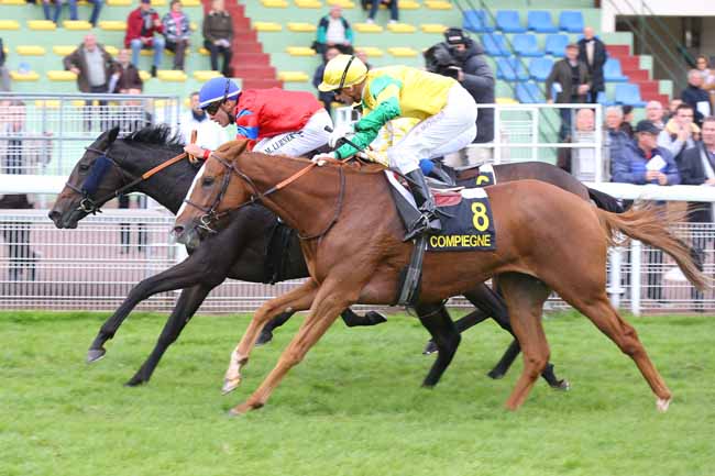 Photo d'arrivée de la course pmu PRIX DE LA BOURDELOTTE à COMPIEGNE le Lundi 10 octobre 2016