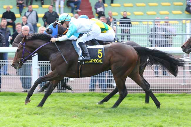 Photo d'arrivée de la course pmu PRIX DES BOULEAUX à COMPIEGNE le Lundi 10 octobre 2016