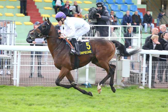 Photo d'arrivée de la course pmu PRIX D'UCEL à COMPIEGNE le Lundi 10 octobre 2016