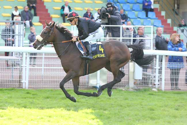 Photo d'arrivée de la course pmu PRIX DES NEUF FONTAINES à COMPIEGNE le Lundi 10 octobre 2016