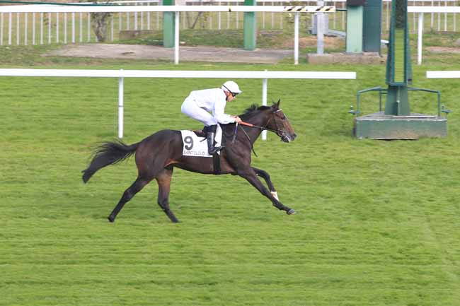 Photo d'arrivée de la course pmu PRIX DE SAINT-LAMBERT à SAINT-CLOUD le Mardi 11 octobre 2016
