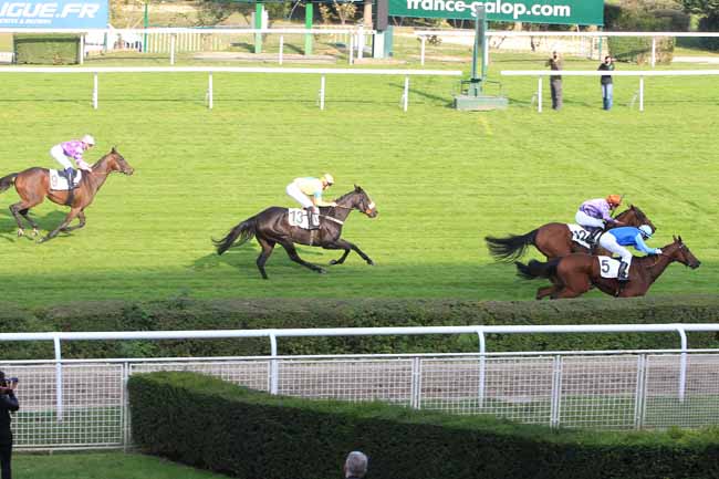 Photo d'arrivée de la course pmu PRIX DE BUZENVAL à SAINT-CLOUD le Mardi 11 octobre 2016