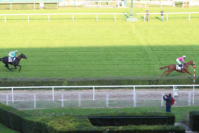 Photo d'arrivée de la course pmu PRIX DE SAINT-MARTIN-DU-CHENE à SAINT-CLOUD le Mardi 11 octobre 2016